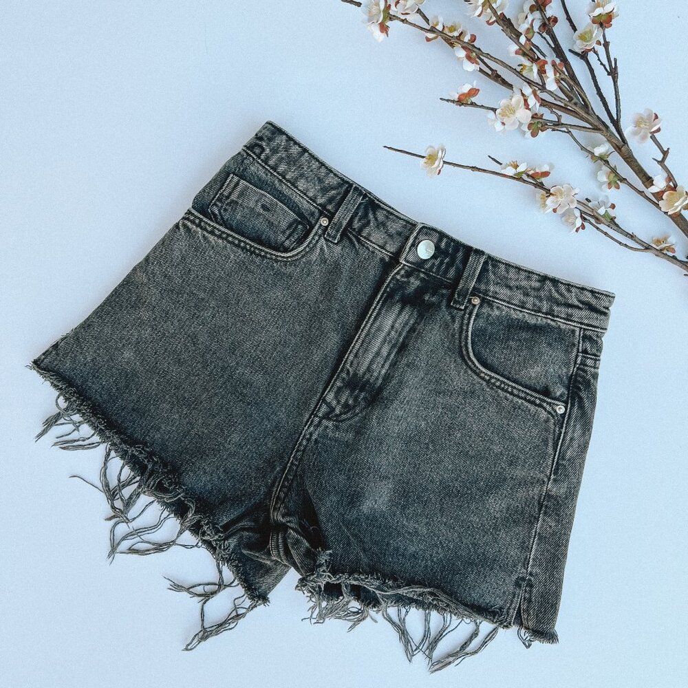 Zara Women's Distressed Denim Shorts (EUC)